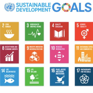 Slow Nature, FNs bærekraftsmål, 2030 Agenda for bærekraftig utvikling, mål for bærekraftutvikling (SDG), anstendig arbeid og økonomisk vekst, industri, innovasjon og infrastruktur, ansvarlig forbruk og produksjon, klimahandling, Partn